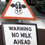 Dairy industry warning over immigration policy