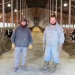 Dairy farm back to milking a year after barn collapse