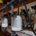 Dairy industry warns of impact of Covid 19 crisis on sector