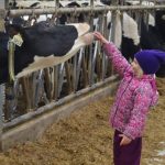 Dairy production in Canada is ethical responsible and progressive