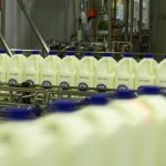 Milk companies adapt to demand