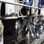 New platform delivers milk transparency