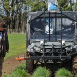 Projects look at dairy feeding to lift productivity and animal health