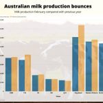 Australian milk production bounces