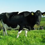 Evaluating biosecurity risks