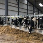 No reason for change to March milk prices