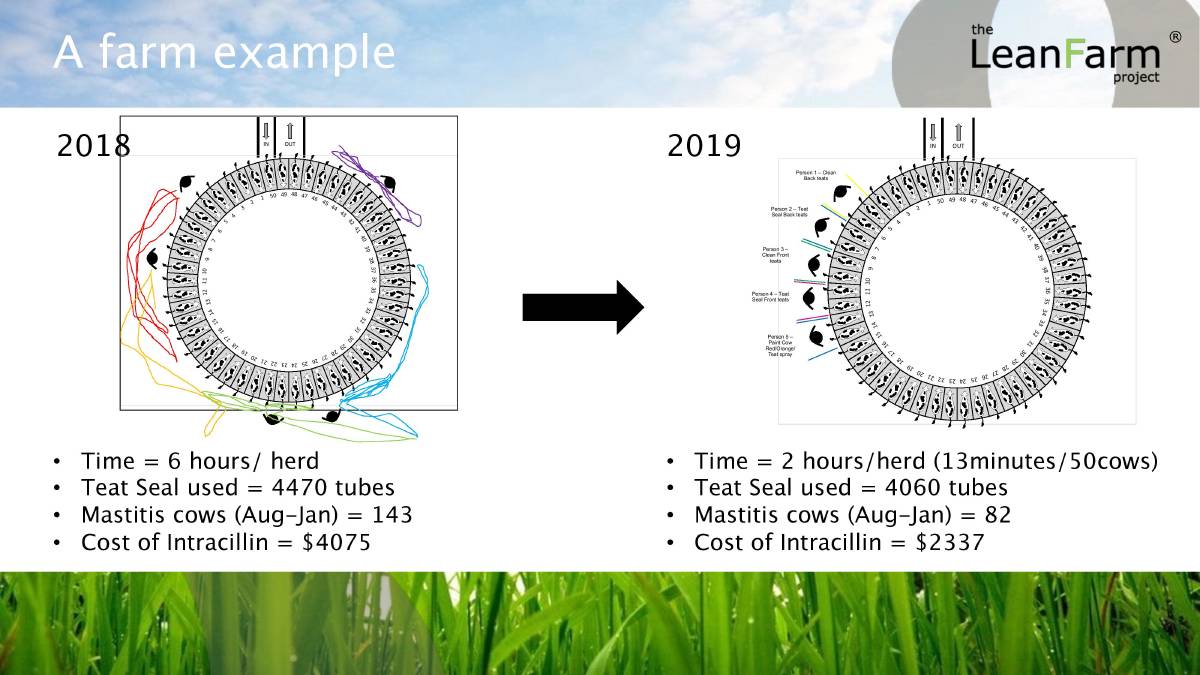 Taking a lean management approach to drive efficiency on dairy farms2