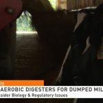 Using Anaerobic Digesters for Dumped Milk