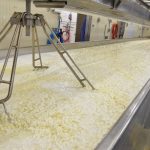 Bothwell Dairy Farmers turning excess milk into cheese donation