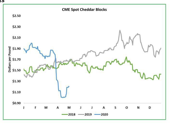 Dairy markets rally enthusiastically1