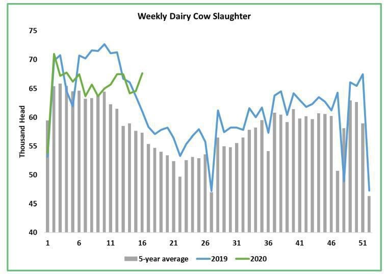 Dairy markets rally enthusiastically2