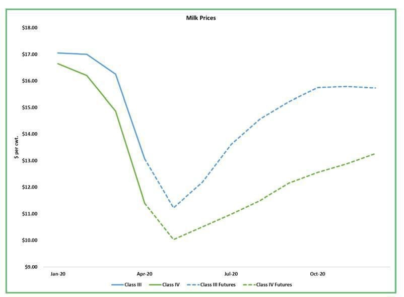 Dairy markets rally enthusiastically5