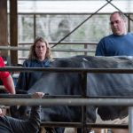 Two Maine dairy farms dumping milk as demand drops others holding steady