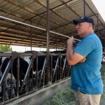 A Proud California Dairy Farmer Battles for Survival in Wildly Uncertain Times