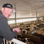 Alberta dairy farmers pare back milk production