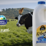 Dairy Farmers promotes the free range credentials of its A2 Goodness line