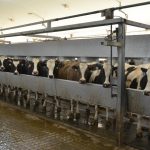 May Milk Production Takes a Steep Decline