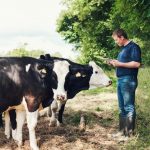 New campaign brings surge of interest in dairy farming but 1000 jobs still need filling