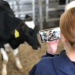 Adopt a Cow program mooo ving into Pennsylvania classrooms