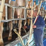 August sees milk price increases across various processors