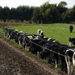 Course helps build a career and skills in dairy