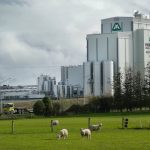 Mataura Valley Milk needs more money to stay afloat