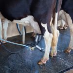 Scots dairy farmers urged to add input to contracts consultation