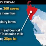 Tasmanian dairy