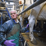 US trade policy milks Americas dairy farmers