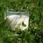 Arla confirms that its September milk price will remain unchanged