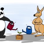 China Australia economic war unlikely despite confliction