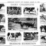 Dairy farmers historic battles in Queensland