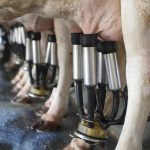 Dairy industry senate inquiry comes to Brisbane