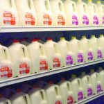 Dairy producers need a voice in milk pricing