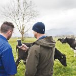 Recruitment drive going well — DairyNZ