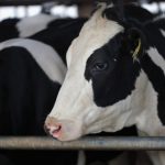 Wisconsin farmer