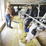 Organization looking to honor members of dairy industry