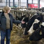 Regulations very frustrating for Winona County dairy farmers