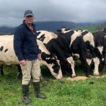 Tasmanian dairy farmer uses DNA testing to guide heifer selection