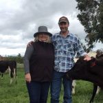 WA dairy farmers turn off radio to help reduce cow stress