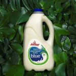 Anchor launches plant based milk. bottles