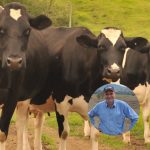 Dairy Connect farmers group president and Gloucester farmer Graham Forbes talks the release of Australian Dairy Plan