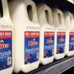 Dairy co operative Norco pays farmers highest milk price in 125 year history