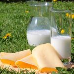 Government of Canada funds Ontario dairy processors