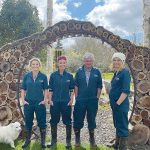 LICs AB technicians hit the road to get cows pregnant