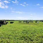 Victorian dairy country hits the market