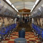 Why milk prices and contracts dont always determine business success