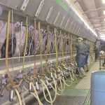 Analysts concerned over milk production growth