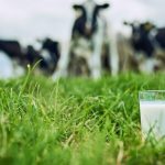 Anchor speciality milks get carbon-zero certification