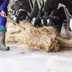 Australian farmers secure energy efficiency grants to lower their electricity bills